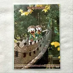 ドナルド　デイジー　ディズニー　フォトファン　2Lサイズの写真　Disney