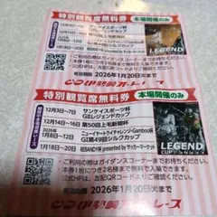 伊勢崎オートレース　特別観覧席無料券　【本場開催のみ】 ２枚組