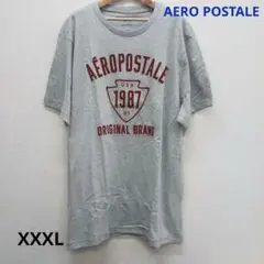 最終値下げ。新品 送料無料 エアロポステール　メンズ半Tシャツ XXXLのサムネイル