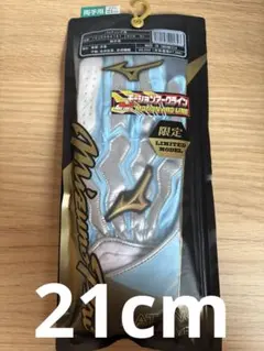 新品未使用 Mizuno バッティング用手袋