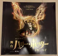 舞台 ハリー・ポッターと呪いの子 パンフレット