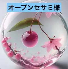 。。専用。。