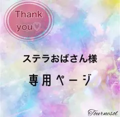 ステラおばさん様 リクエスト 2点 まとめ商品