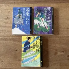 佐伯泰英 文庫本3冊セット
