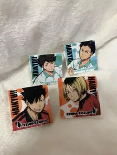 ハイキュー！！ミニクリップ 音駒 青葉城西