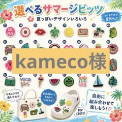 2026年最新】キャラクターグッズ ピンズ・ピンバッジ・缶バッジの人気