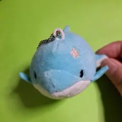 アオイルカ　みいるか ゆるいるか ミニぬいぐるみマスコットのサムネイル