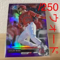 テイラー・ウォード　250枚限定