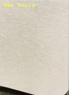 特殊紙　きぬもみ 白