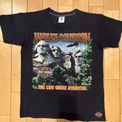 【USA製】80's Harley-Davidson ハーレーTシングルステッチ