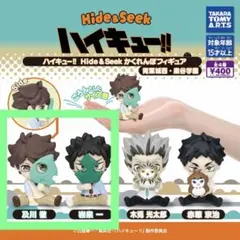 ハイキュー!! Hide&Seek かくれんぼフィギュア 青葉城西　及川　岩泉