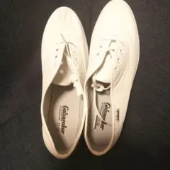 Item thumbnail for item 89a36b5b-17bd-4a12-82f3-1f6c00537652