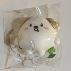 2026年最新】モンリョンイの人気アイテム - メルカリ