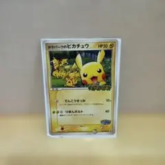 ポケパークのピカチュウ PROMO PCG-Pプロモカード 043/PCG-P