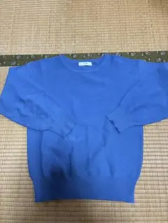 any FAM 青 長袖ニット Fサイズ