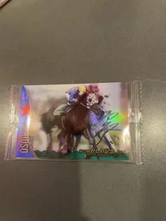 サラブレッドホースコレクション　3R フリオーソ サイン入り