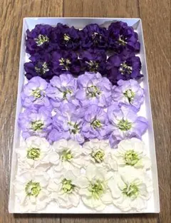 イノ様 リクエスト 7点 まとめ商品