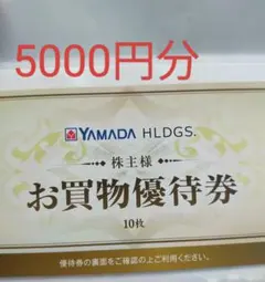 YAMADA HLDGS. 株主優待券 10枚　ヤマダ電機 5000円