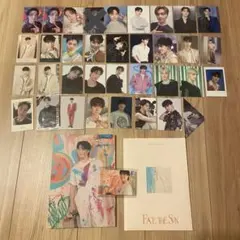 SEVENTEEN セブチ ディノ トレカ まとめ売り