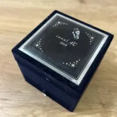 4°Cクリスマスアクセサリーケース