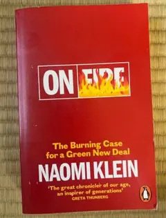 on fire naomi klein