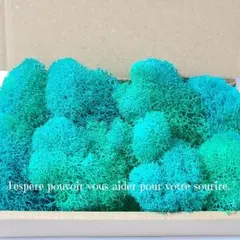 Item thumbnail for item 38cb9d10-05d5-471d-aecc-b87caf592d5a