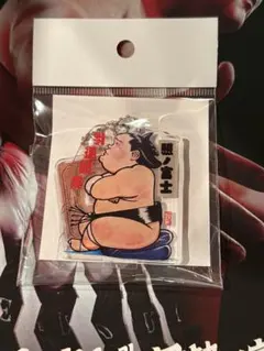 大里様 リクエスト 2点 まとめ商品