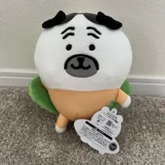 ナガノキャラクターズ サーフィン ぬいぐるみ