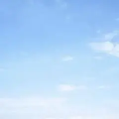 専用