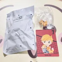 POP MART ハイキュー!! 宮侑