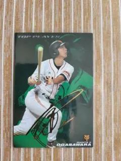 Item thumbnail for item 9660b862-b92c-47cb-b67e-c2615d07df94