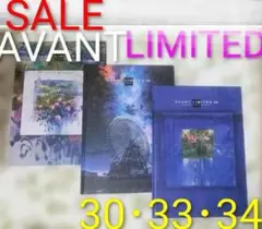 AVANT LIMITED 30・33・34 [3冊] 作品集 画集 美術館図録 - メルカリ