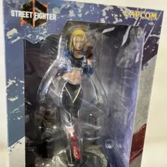 コトブキヤ ストリートファイター ポイズン フィギュア - メルカリ