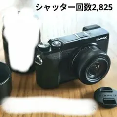 2026年最新】lumix gx7mk2 充電器の人気アイテム - メルカリ