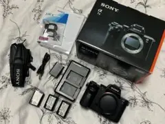 2025年最新】α7iiの人気アイテム - メルカリ