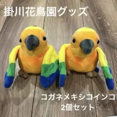 掛川花鳥園　コガネメキシコインコ　ぬいぐるみ 羽にマグネット　2個セット