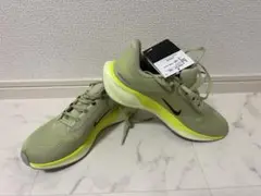 ナイキペガサス41