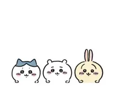 専用ページ