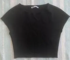 ZARA 半袖ショート丈