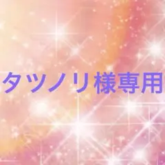 タツノリ様専用