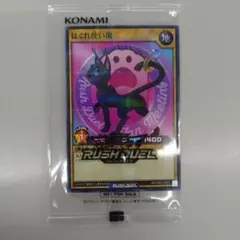 2026年最新】遊戯王 プロモ 未開封の人気アイテム - メルカリ