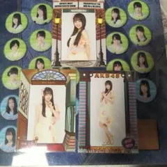 にゃんころり様 リクエスト 2点 まとめ商品