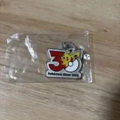ポケモン30周年 メタルチャームマスコット ピカチュウ Pokémon
