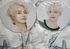 Item thumbnail for item 8345214e-f52b-48a4-845b-e26a06f9184c