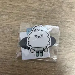 ACT PROMISE EP.2 カプセルトイ　スビン　チェヨンモン