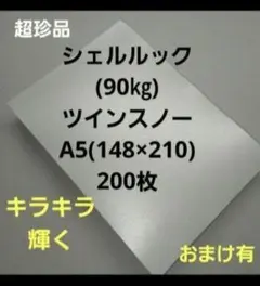 シェルルックNツインスノー(90㎏)A5、200枚、キラキラ特殊紙‼️