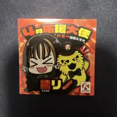 あや☆プロフ必読様専用