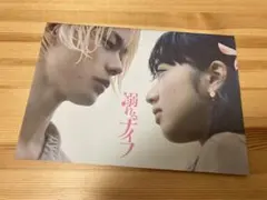 映画「溺れるナイフ」パンフレット
