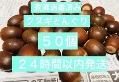 どんぐりミックス　100個