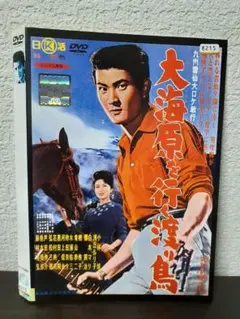 武藤敬司 1991₋1997 衝撃！三銃士ヒストリー PART.6 DVD - メルカリ